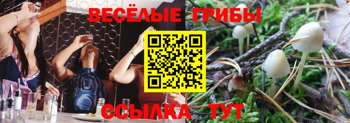 Галлюциногенные грибы мицелий  Вход с VPN  Галлюциногенные грибы Magic Shrooms  Прокопьевск 