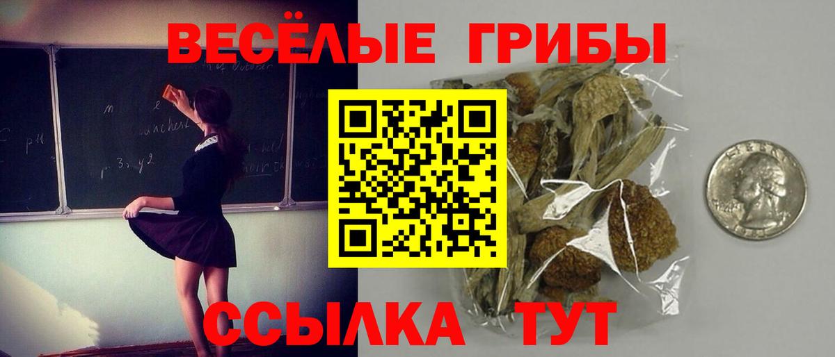 Галлюциногенные грибы ЛСД Прокопьевск